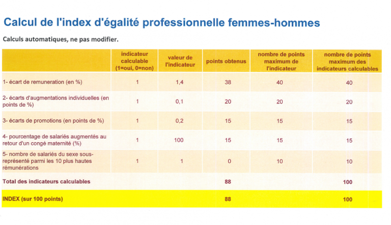 indexe d'égalité professionnelle