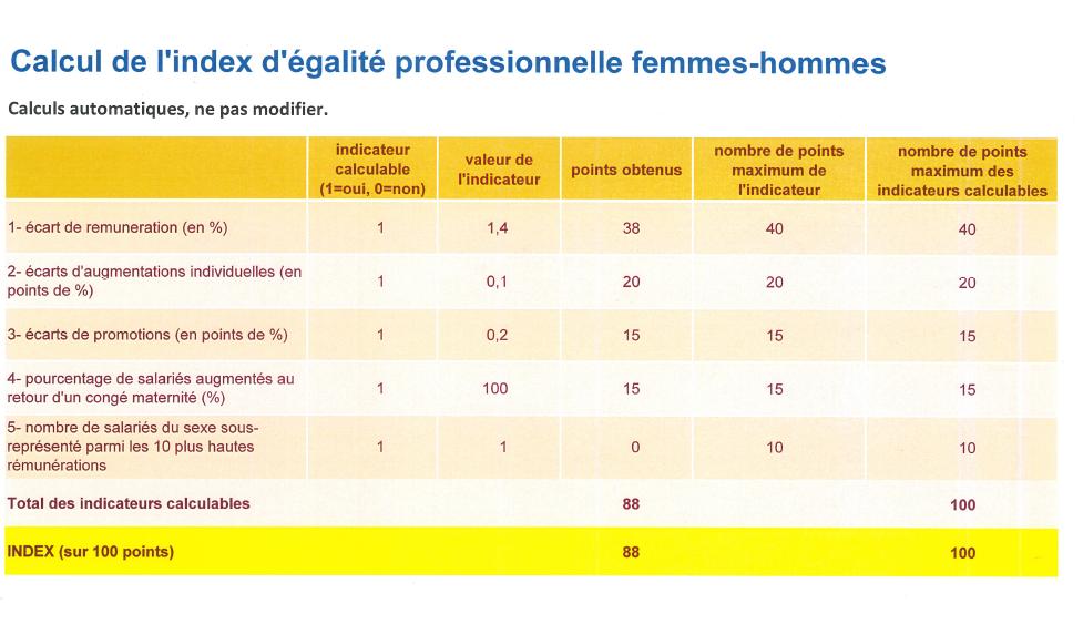 indexe d'égalité professionnelle
