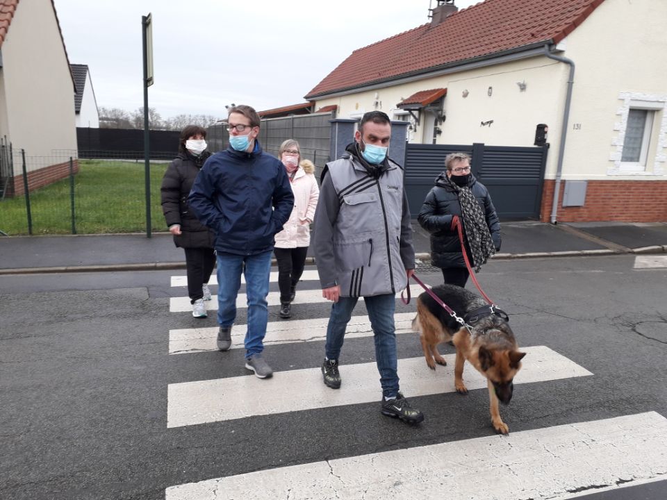 éducation canine saj loison