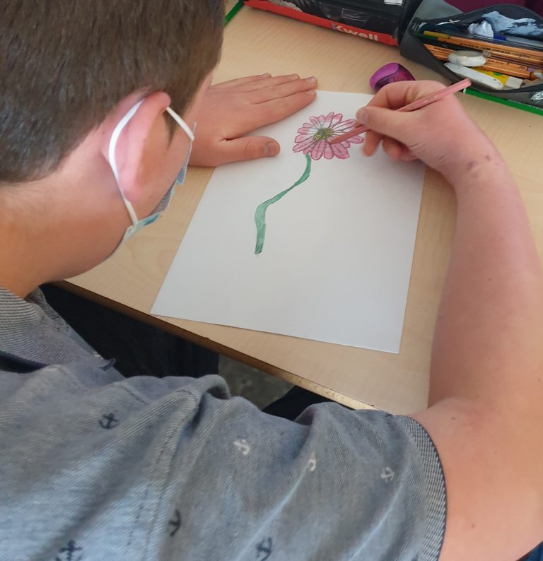 projet arts visuels