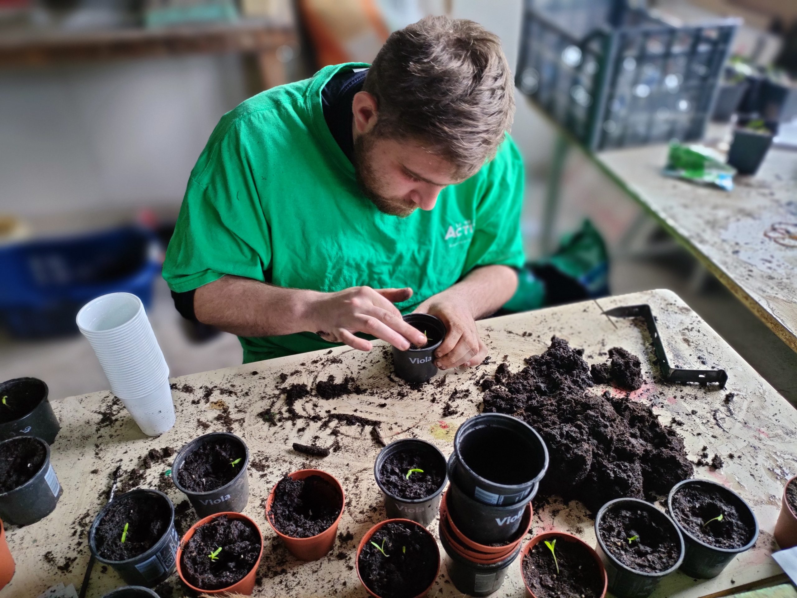 soutien horticole