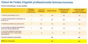 Index égalité professionnelles femmes hommes
